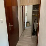 Anna 巴特基辛根